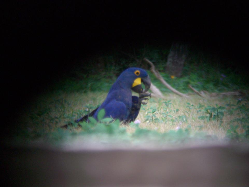 FIGURE 1 FIGURE 1